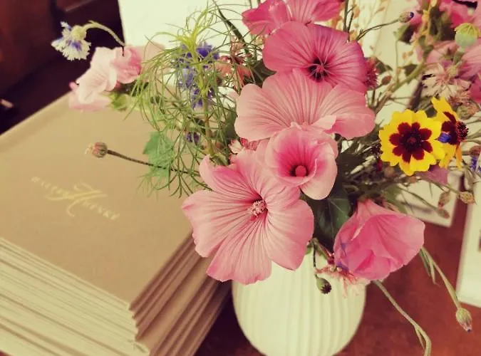 Hotell Halferschenke Dieblich