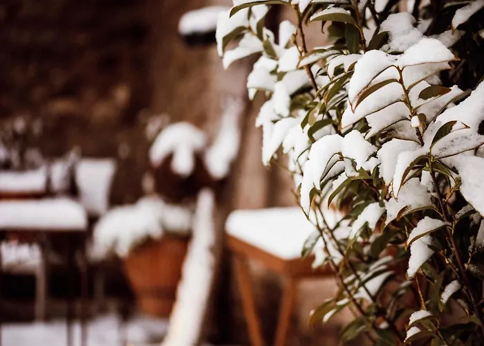 Halferschenke 호텔 *