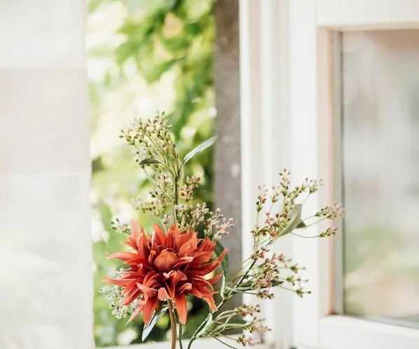 호텔 Halferschenke 디에블리흐